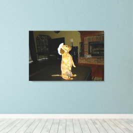 Liefdevol zitten of tv kijken Dachshond Canvas Afdruk