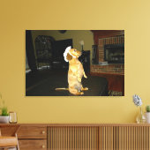 Liefdevol zitten of tv kijken Dachshond Canvas Afdruk (Insitu (Woonkamer))