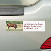Liefdevolle Beauty Quarter Paard Bumpersticker (Op auto)