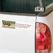 Liefdevolle Beauty Quarter Paard Bumpersticker (Op Truck)