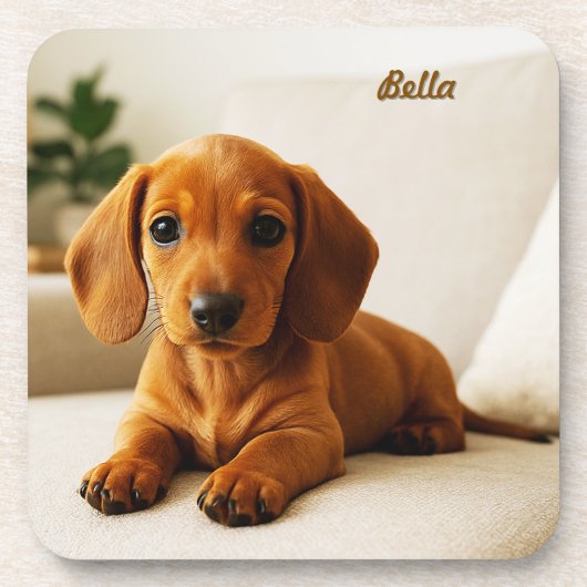 Liefdevolle Dachshund Gepersonaliseerde Onderzette Bier Onderzetter (Voorkant)