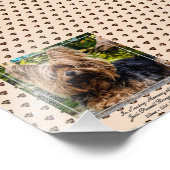 Liefdevolle Herinnering Jack Russell  FOTO Naam Aa Afdruk (Hoek)