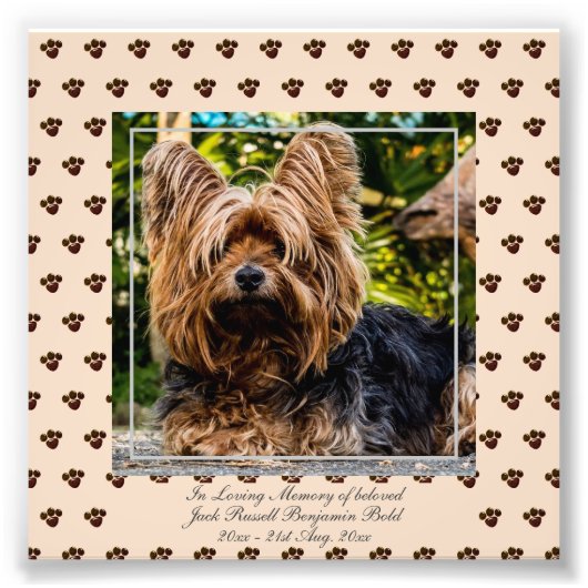 Liefdevolle Herinnering Jack Russell  FOTO Naam Aa Foto Afdruk (Voorkant)