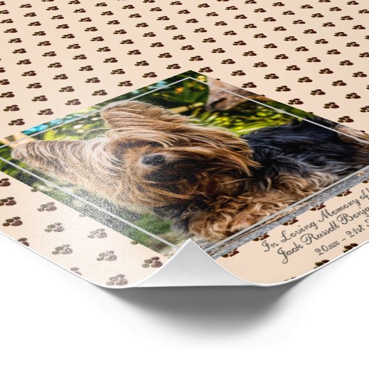 Liefdevolle Herinnering Jack Russell  FOTO Naam Aa Foto Afdruk (Hoek)