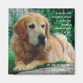 Liefdevolle Honden Magneet