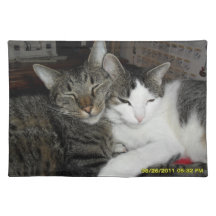 liefdevolle katten