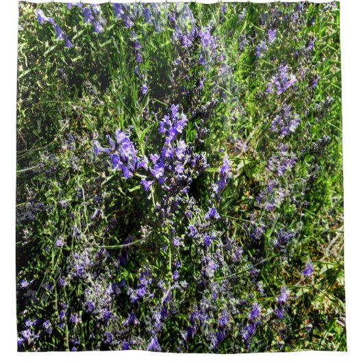 Liefdevolle Lavendel.... Douchegordijn (Voorkant)