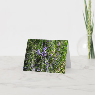 Liefdevolle Lavendel.... Kaart