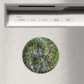 Liefdevolle Lavendel.... Magneet (Insitu (Vaatwasser))