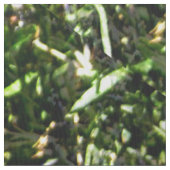 Liefdevolle Lavendel.... Stof (Close Up)
