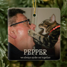 Liefdevolle Minimalistische Foto Kat Herdenking