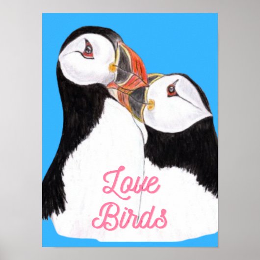 Liefdevolle Papegaaiduikers Poster (Voorkant)