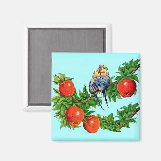 liefdevolle paraketten magneet (Voorkant / Achterkant)