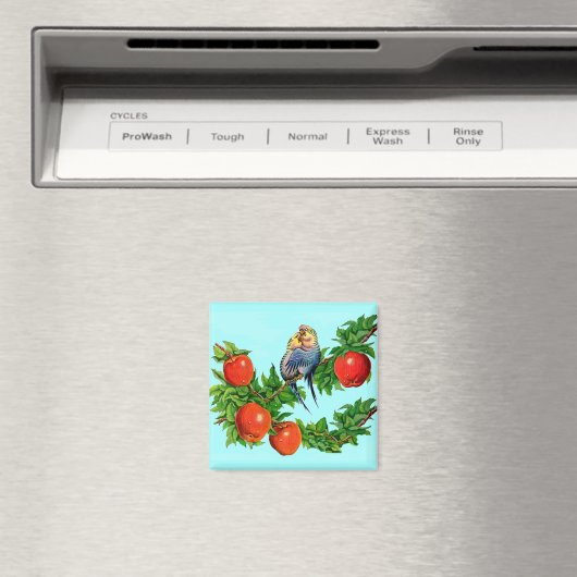 liefdevolle paraketten magneet (Insitu (Vaatwasser))