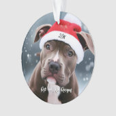 Liefdevolle Pit Bull met Santa Hat Kerstmis Ornament (voorkant)
