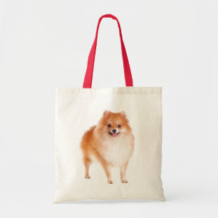 Liefdevolle Pomeranian Puppy Hond Tas
