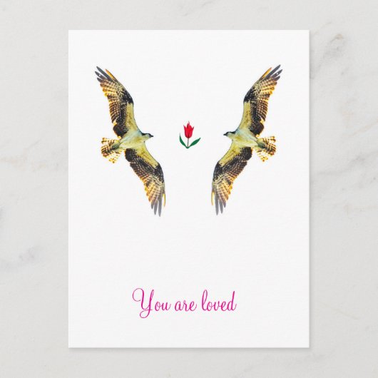Liefdevolle vogels. visarend briefkaart (Voorkant)