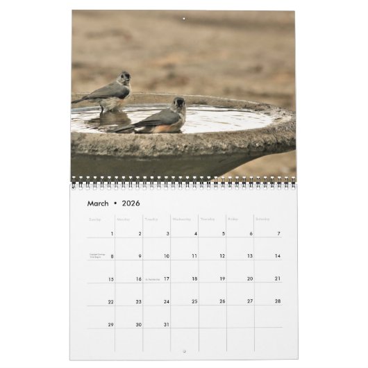 Liefdevolle zwanen Mooie Tortelduifjes Foto Collec Kalender (Mar 2026)