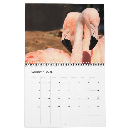 Liefdevolle zwanen Mooie Tortelduifjes Foto Collec Kalender (Feb 2026)