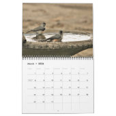 Liefdevolle zwanen, Tortelduifjes 20XX op maat gep Kalender (Mar 2026)