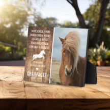 Liefelijk Rustiek Paard Herdenkingsfoto Aandenken