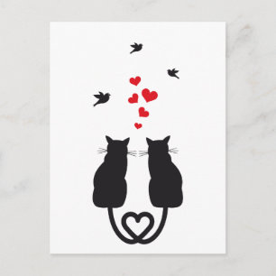 liefhebbende katten en vogels briefkaart