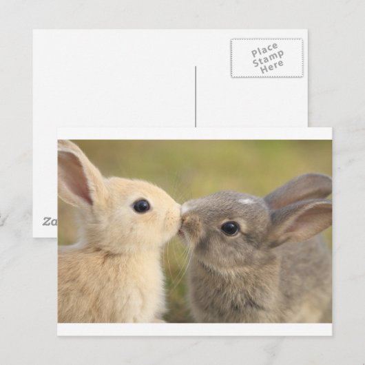 liefhebbende konijn briefkaart (Voorkant / Achterkant)