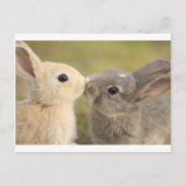 liefhebbende konijn briefkaart (Voorkant)