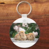 liefhebbende konijnen sleutelhanger (Voorkant)