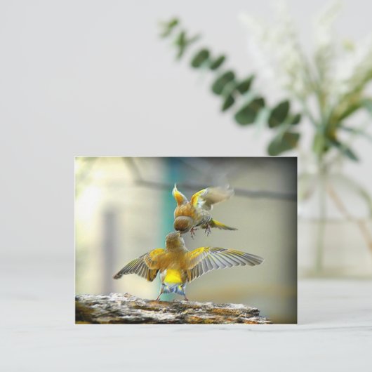 liefhebbende vogels briefkaart (Staand voorkant)
