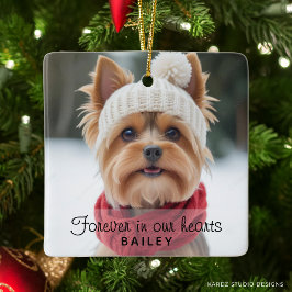 Liefhebber Foto Sympathie Ornament Honden