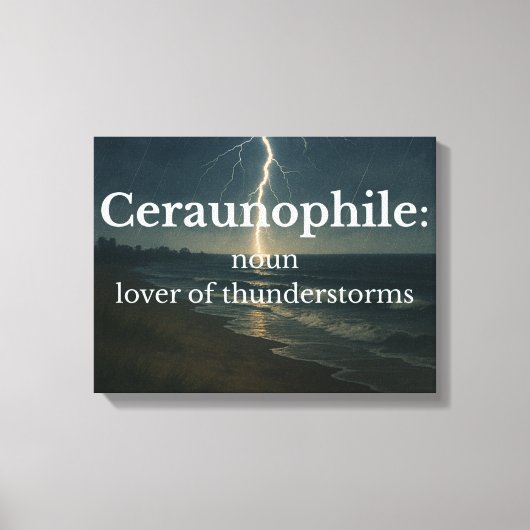Liefhebber van onweersbuien canvas afdruk (Voorkant)