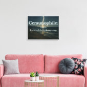 Liefhebber van onweersbuien canvas afdruk (Insitu (Woonkamer))