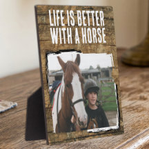 Liefhebber van rustieke paarden 1 foto bruin wit