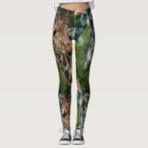Liefhebber van wilde giraffen
