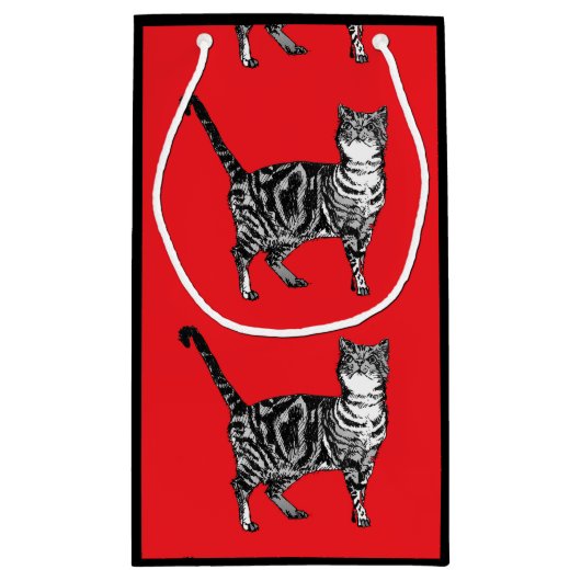 Liefhebbers katten rode tabby kat dier huisdier ca klein cadeauzakje (Achterkant)