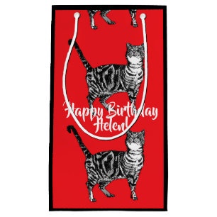 Liefhebbers katten rode tabby kat dier huisdier ca klein cadeauzakje