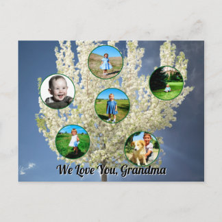 Liefje Oma Witte Bloeiende Boom Zes Foto's Briefkaart