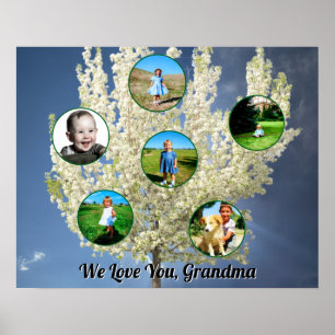 Liefje oma Witte Bloeiende Boom Zes Foto's  Poster