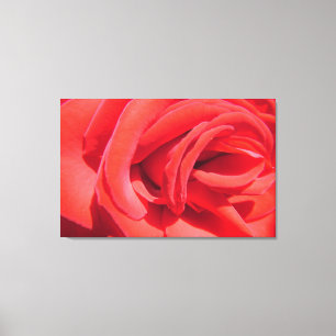 liefje rode rozenbloem fotokunst werk. liefde, geh canvas afdruk