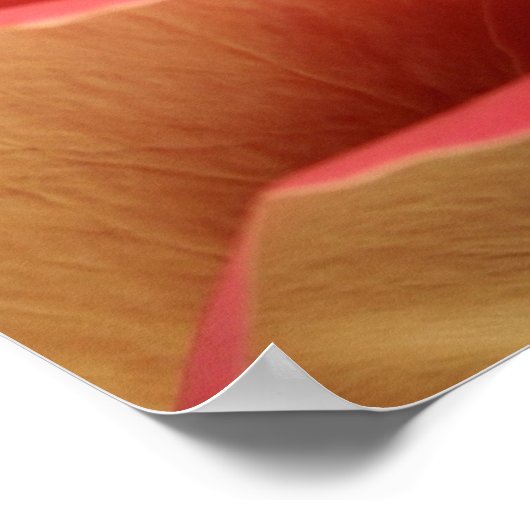 Liefje Roos Poster (Hoek)