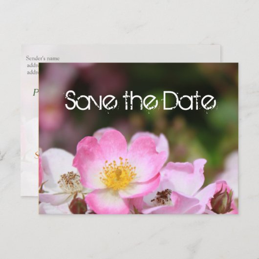 liefje roze bloem bruiloft met roos , met uitzonde aankondigingskaart (Voorkant / Achterkant)