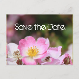 liefje roze bloem bruiloft met roos , met uitzonde aankondigingskaart