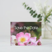 liefje roze bloem bruiloft met roos , met uitzonde aankondigingskaart (Staand voorkant)