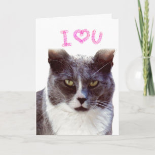 Liefje Valentijn van je kat wenskaart Feestdagen Kaart