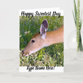 Liefje Wenskaart, Doe Holiday Kaart