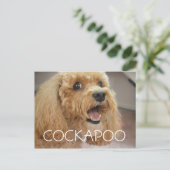 Lieflijke Cockapoo-hond Lacht Briefkaart (Staand voorkant)