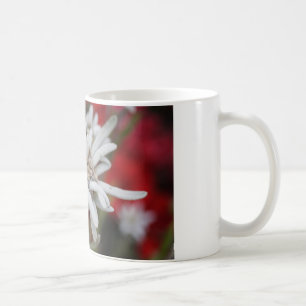 Lieflijke Edelweiss Leontopodium nivale Koffiemok