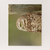 Lieflijke Gravuil van Florida Legpuzzel (Verticaal)