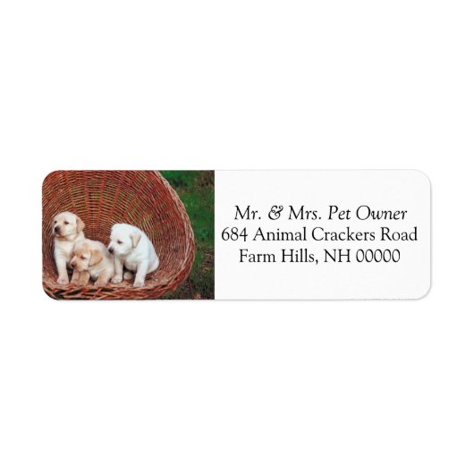 Lieflijke Puppies Retouradres Mail Label Sticker (Voorkant)